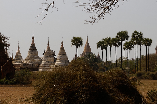 Pagan-Shwe San Daw-112